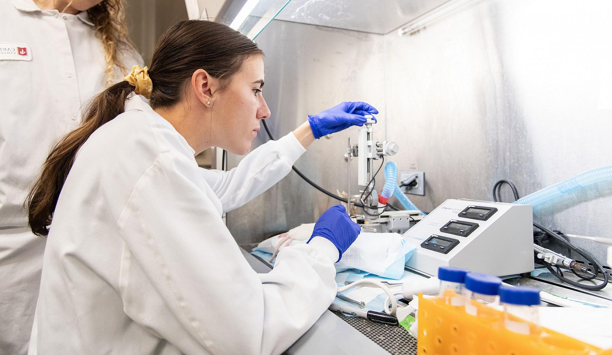 Neuroscience majors perform an experiment in a lab. Earn your neuroscience degree at Carthage College.